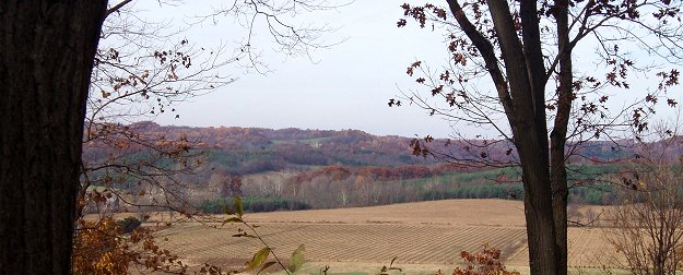 View from Maple Lane Cabin in the Fall