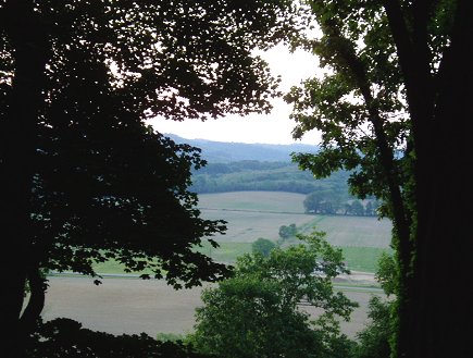 Summer Views at Maple Lane Cabin